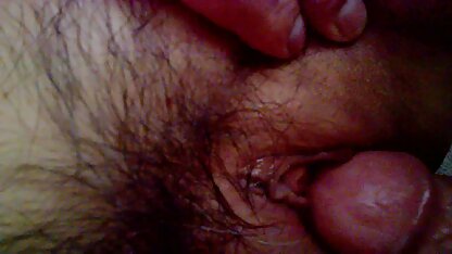 Ferrets के लिए फुल मूवी सेक्स स्मृति